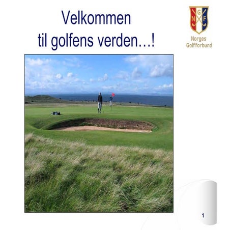 Golfvett og regler