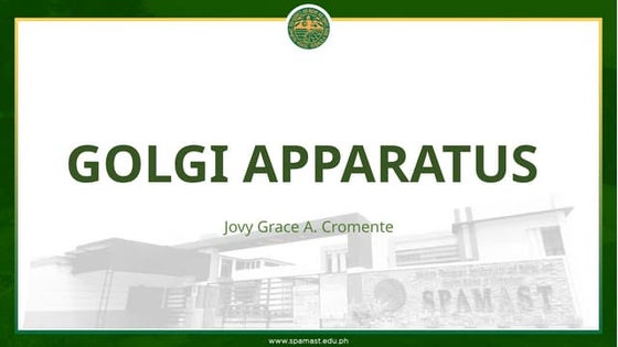 Golgi Bodies Pptx