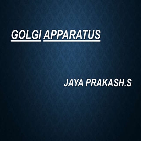 Golgi apparatus