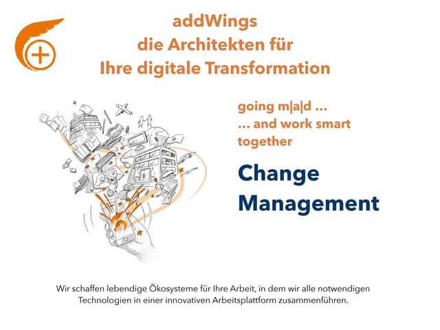 go[ing] mad Change Management 2018