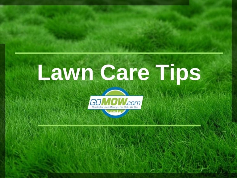 pix Lawn Care Tips slideshare
