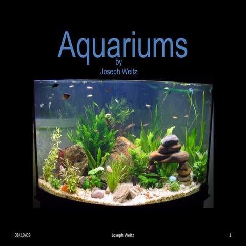 Aquariums