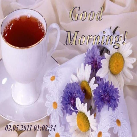 Good morning, morning