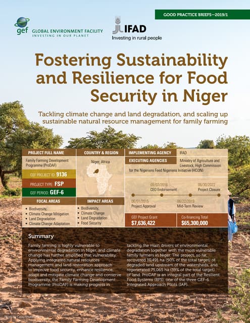 Good practice food_security_niger_gef2019