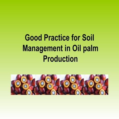 Good practice for oil palm production