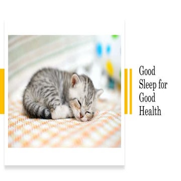 Good Sleep for Good Health Good Sleep for Good Health Good Sleep for Good Health