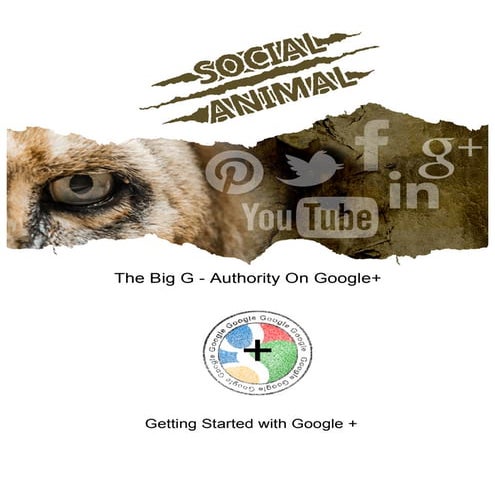 Google +