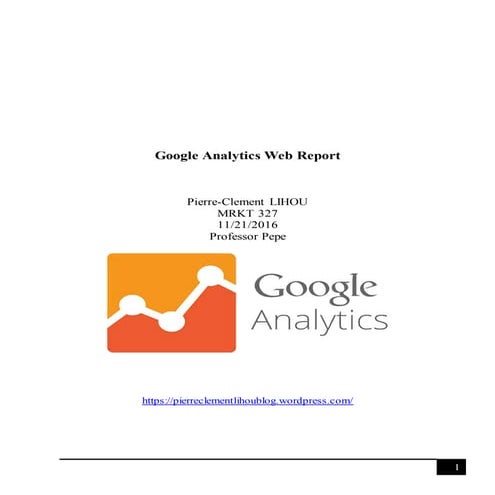 Google Analytics Demo Account Report | DOCX