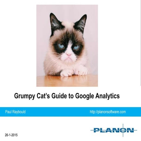 Grumpy Cat's Guide to Google Analytics