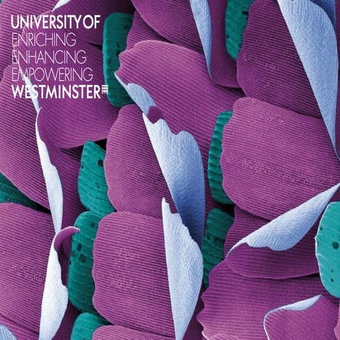 Use of Google Apps for learning and teaching