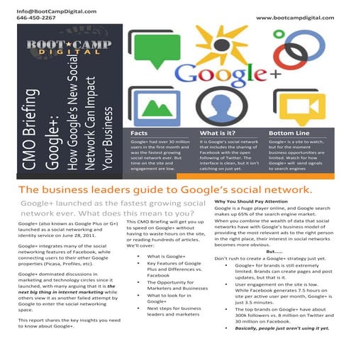 Google+ For Business: Report