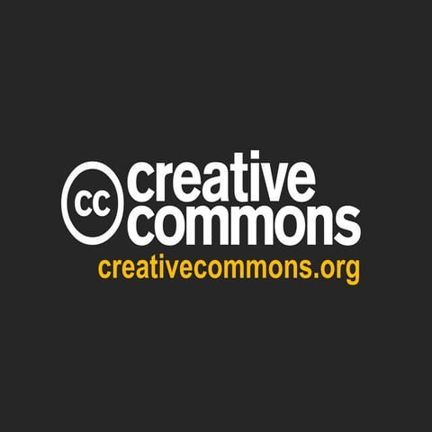 Google product counsel basic CC presentation