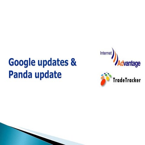 Google panda update   internet advantage