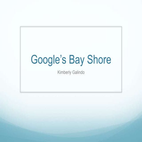 Googles bay shore