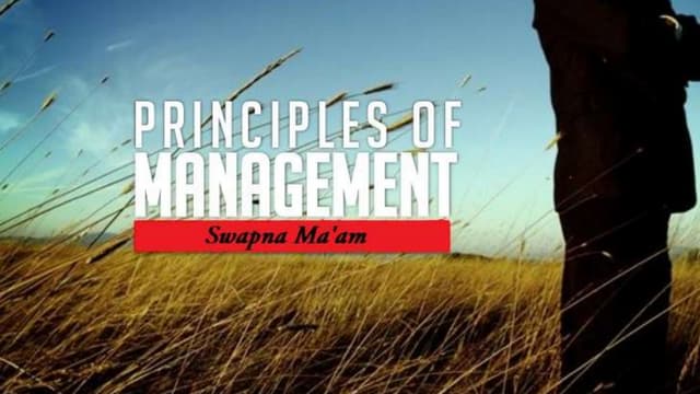 Google's management style 