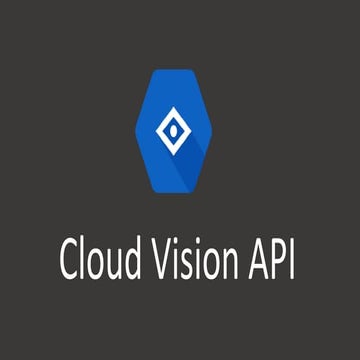 Google Vision Api