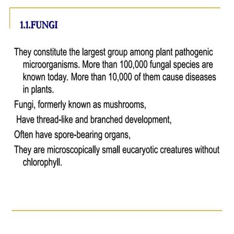 GDETYDFEGDEGFT FFCE GOOGOGO   Fungi - Kopya.ppt
