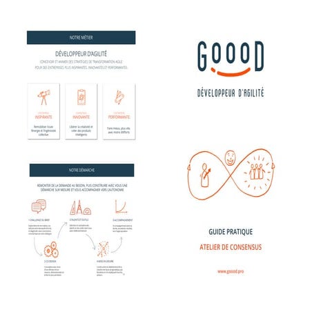 Consensus Workshop - Guide pratique | PDF