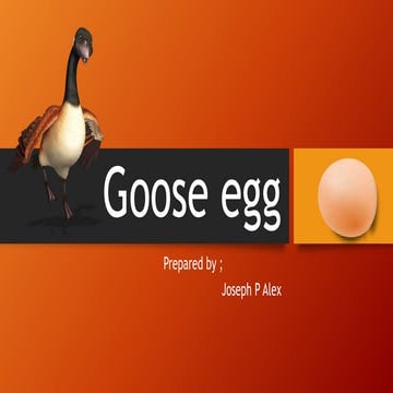 Goose egg | PPTX