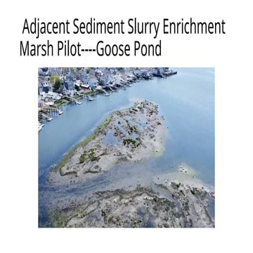 Goose Pond Marsh Project to restore wetlands in Jamaica Bay | PPTX
