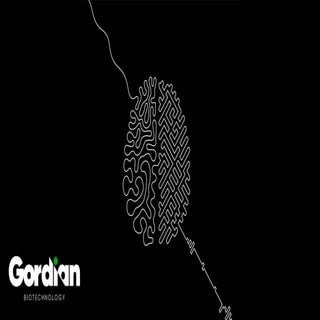 Gordian Biotechnology: Decoding Longevity for Tomorrow's Therapeutic ...