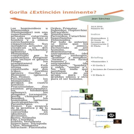 Gorila