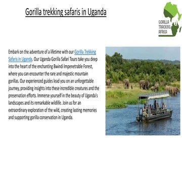 Gorilla trekking safaris in Uganda.pptx