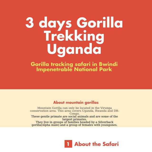 Gorilla trekking Uganda Safari (3 days) in Bwindi Impenetrable National ...