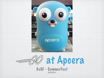 GoSF Summerfest - Why Go at Apcera