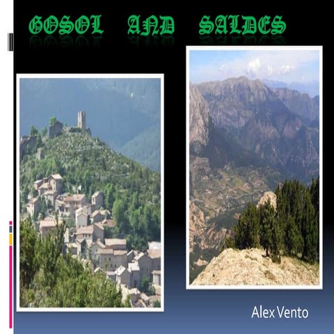 Gosol i saldes