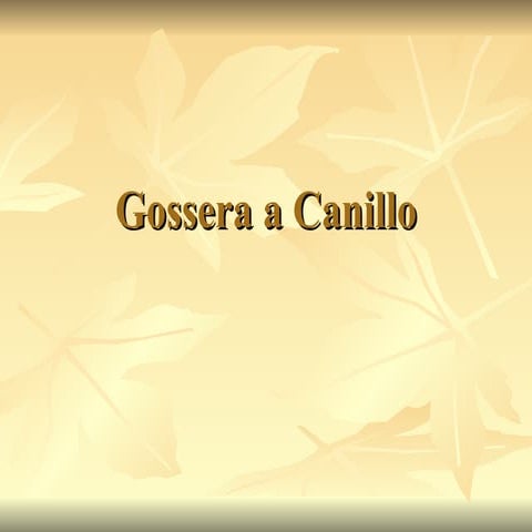 Gossera a Canillo