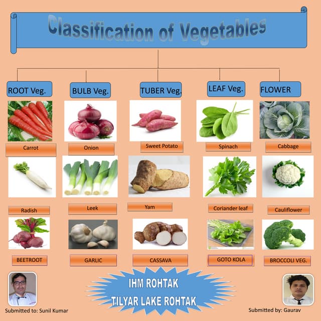 Classification of vegetable PDF