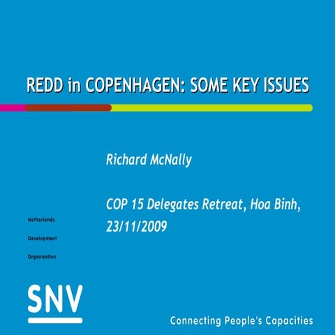 Presentation on Resource for Mitigation by REDD in Copenhagen