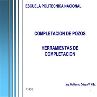 Gov curso de completacion