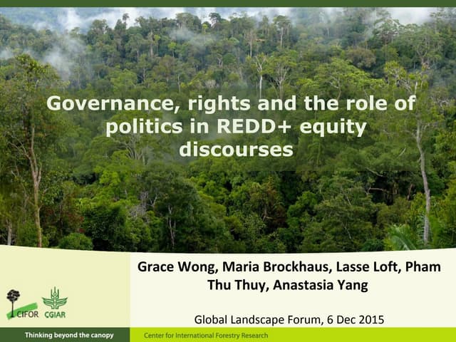 Governance, rights and the role of politics in redd+ equity discourses