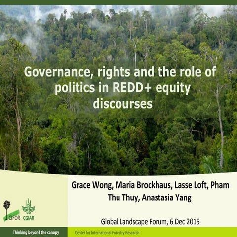 Governance, rights and the role of politics in redd+ equity discourses