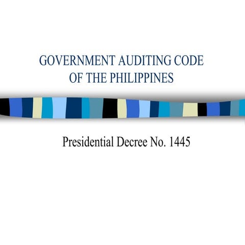 Government auditing code