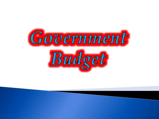 Government budget