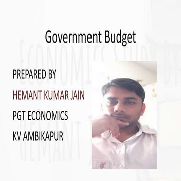 Government budget