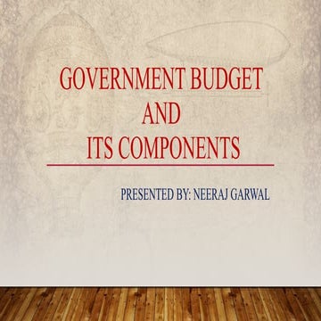 Government budget 