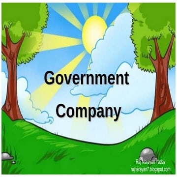Government company.pdf