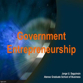 Government Entrepreneurship