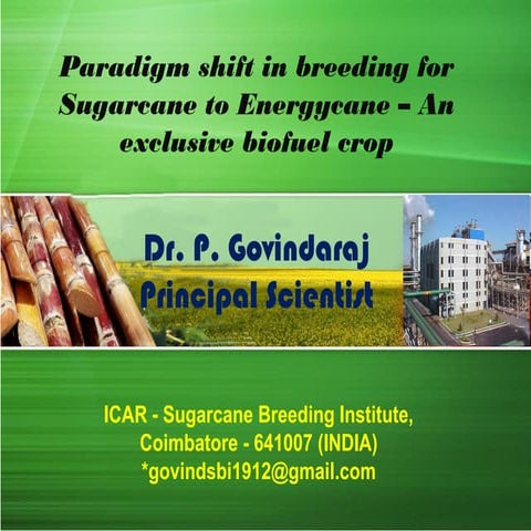 Paradigm shift in breeding for Sugarcane to Energycane – An exclusive biofuel crop