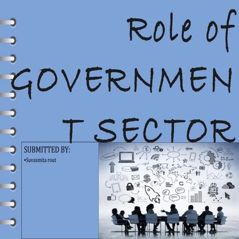 role of government sectors