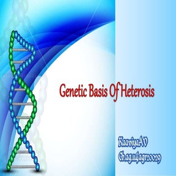 Genetic Basics of heterosis