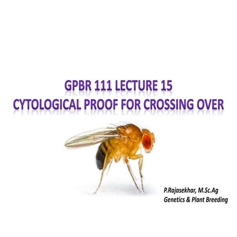 gpbr111lecture15cytologicalproofforcrossingover-191101060023.pdf