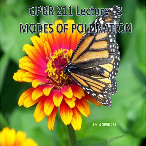 Modes of pollination