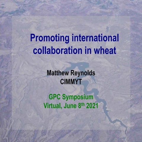 Heat and Drought Wheat Improvement Consortium (HeDWIC)