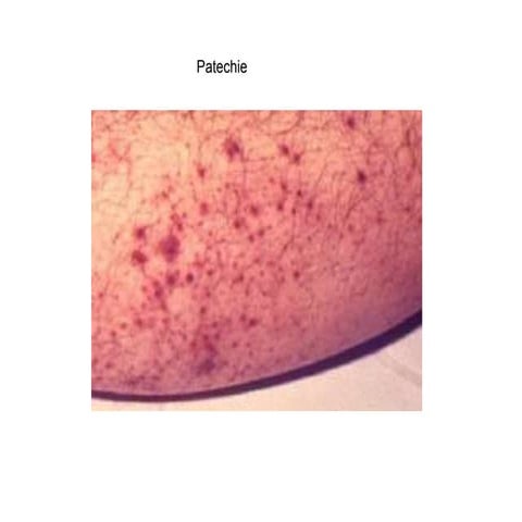 General Physical Examination | PPT
