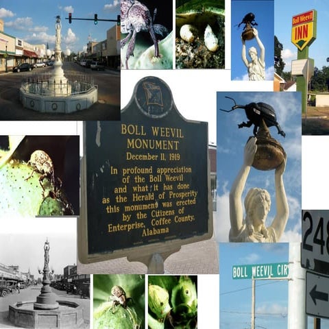 Agroterrorism-Events, steps, preparedness, bioagents